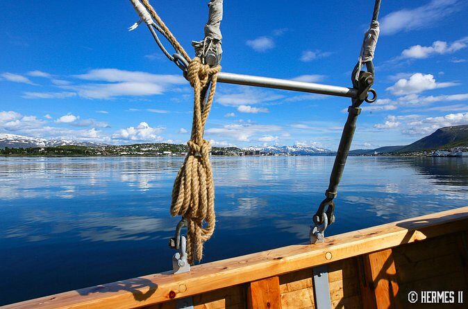 1 Hour Photo & History Cruise - Where it fits in your Tromsø schedule