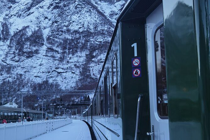 1Day Tour from Bergen to Flåm, Nærøyfjord Cruise & Stegastein - Key Highlights Before Your Bergen to Flåm Day