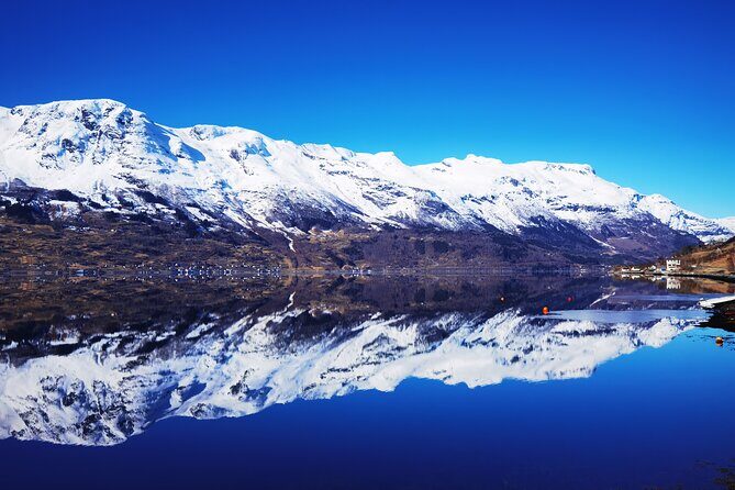 1Day Tour from Bergen to Flåm, Nærøyfjord Cruise & Stegastein - Price and Logistics: What $796.91 Per Person Really Buys