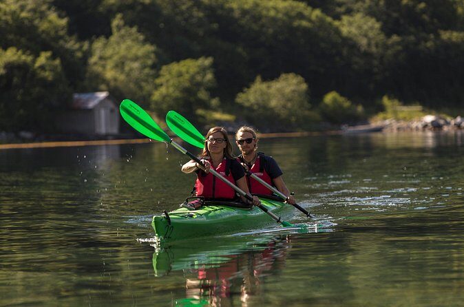 2-Hour Guided Kayak Experience in Geiranger - The guide experience: patient teaching, real fjord stories