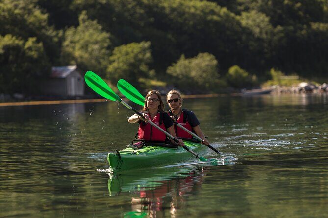 2-Hour Guided Kayak Experience in Geiranger - The Geirangerfjorden paddling stretch: mountains, waterfalls, and wildlife talk