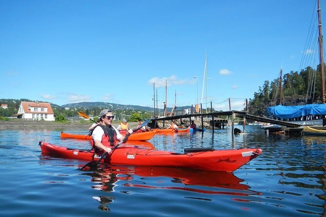 2- hour kayak trip on the Oslo Fjord - Wildlife and that meditative feeling (the part you can’t schedule)