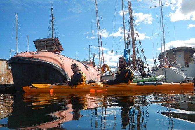 2- hour kayak trip on the Oslo Fjord - Price and value: is $117.91 worth it?