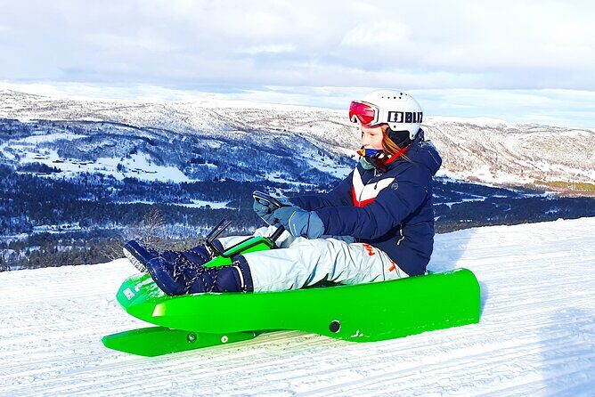 2-Hour Racing Toboggan at Dagali Fjellpark near Geilo in Norway - Key things to know before you go