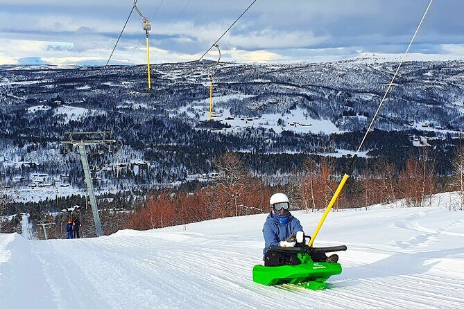2-Hour Racing Toboggan at Dagali Fjellpark near Geilo in Norway - Who should book this sled run (and who might pause first)