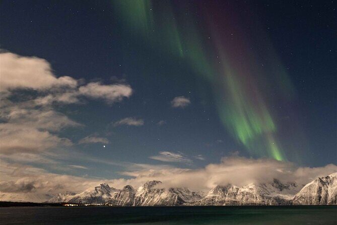 24hr Northern Lights & Whale Watching Cruise - A 24-hour Tromsø schedule that doesn’t eat your whole trip