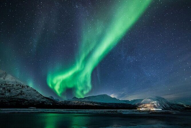 24hr Northern Lights & Whale Watching Cruise - Who should book this cruise, and who should think twice