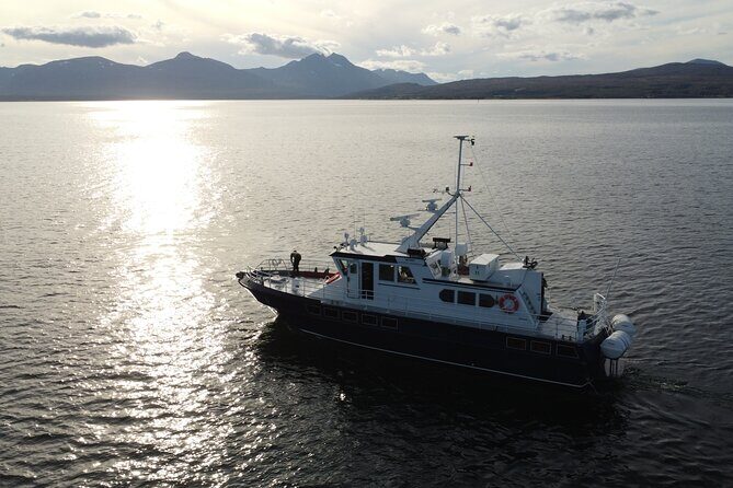 3.5-Hour Arctic Magic with Fjord and Whale Watching Adventure - Altafjord Boat Time: The Point of This Arctic Magic Trip