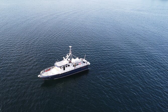 3.5-Hour Arctic Magic with Fjord and Whale Watching Adventure - Mobile Ticket, Easy Setup, and English Support
