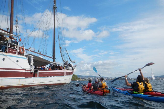 3- Hour Kayak Tour on the Oslofjord - Oslo highlights from the fjord: Fornebu, house boats, and waterfront architecture