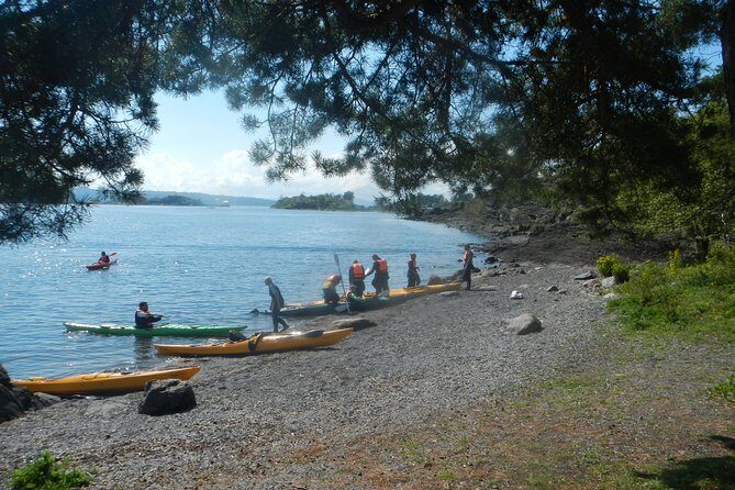 3- Hour Kayak Tour on the Oslofjord - Price at $139.87 for 3 hours: value check for what you get