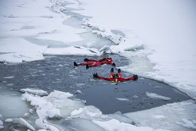 3-Hour Shared Arctic Morning Floating Experience in Norway - Key highlights to know before you go