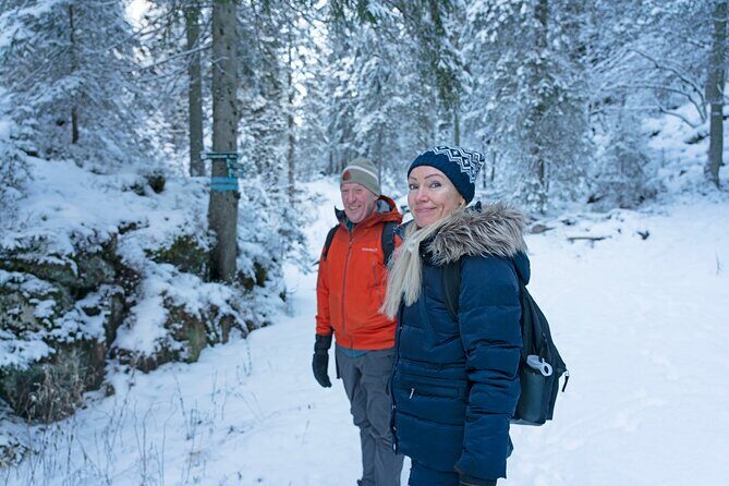 4 hours Best View of the Oslofjord Winter Edition - Why This “Best View of the Oslofjord” Tour Feels Like a Local Day