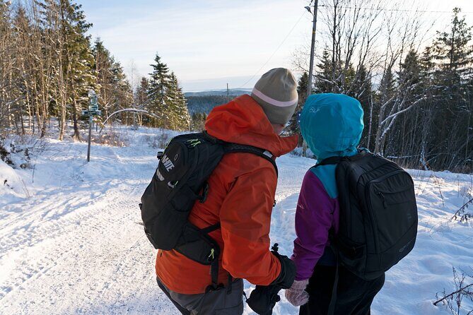 4 hours Best View of the Oslofjord Winter Edition - Stop 1 at Frognerseteren: Metro Ride Views, Then the First Big Panorama