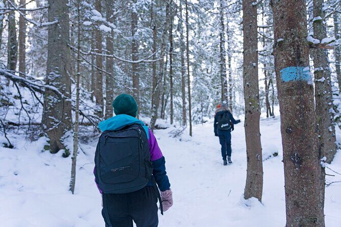 4 hours Best View of the Oslofjord Winter Edition - Stop 3: Vettakollen Viewpoint and the Oslofjord From Above