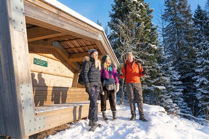 4 hours Best View of the Oslofjord Winter Edition - What the Guide Does (and Why You’ll Feel It)