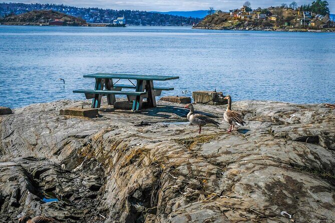 4 Hours Island Hopping Tour in Oslo - Gressholmen: birds, a local kro/pub, and a better lunch stop than you might expect
