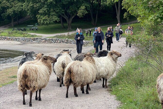 4 Hours Island Hopping Tour in Oslo - Guide meet-up tips: finding the Just Guide quickly