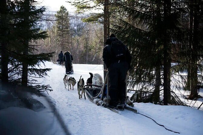 4hr Dog Sledding Trip in Gargia Valley - Gargia Mountain Lodge: hot drinks, dog knowledge, and local context