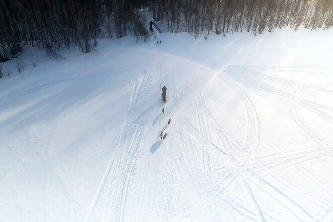 4hr Dog Sledding Trip in Gargia Valley - Winter kit in Alta: what you’re actually wearing