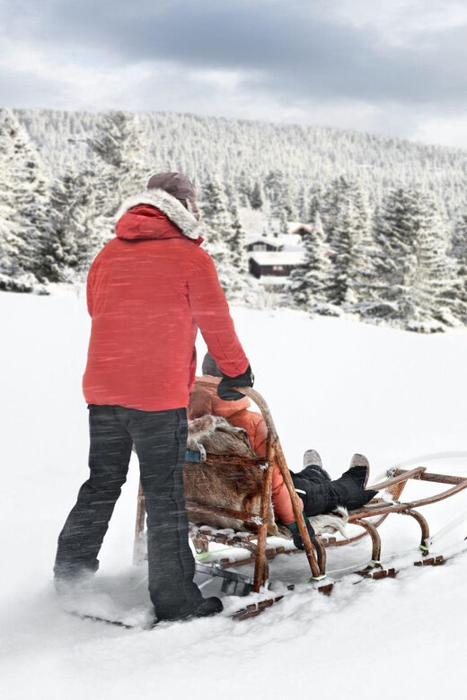 4hr Dog Sledding Trip on Finnmarksvidda - Your husky team: control, teamwork, and a little adrenaline