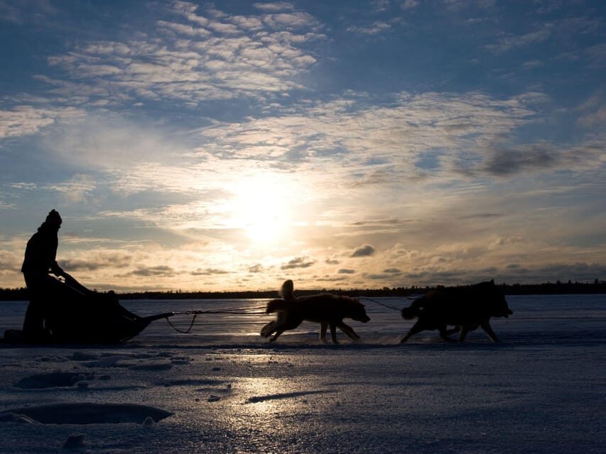 4hr Dog Sledding Trip on Finnmarksvidda - Gargia mountain lodge break: coffee, stories, and why it matters