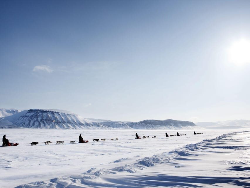 4hr Dog Sledding Trip on Finnmarksvidda - What’s included with the $340 price (and what you’re really paying for)