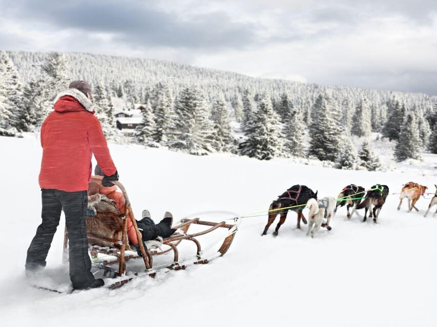 4hr Dog Sledding Trip on Finnmarksvidda - Practical tips to make it easier on yourself