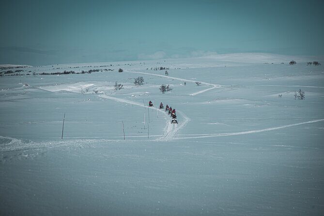 4hr Finnmarksvidda Snowmobile Adventure - License rules in Norway: can you drive or only ride?