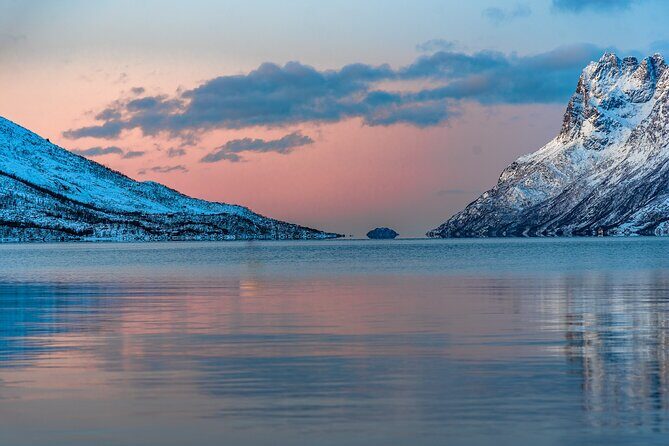 5 Fjords Tour by Minivan in 4 Hours - Key points you’ll care about