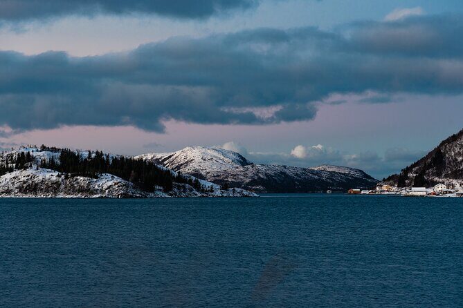 5 Fjords Tour by Minivan in 4 Hours - Skulsfjord: the final fjord pause before heading back