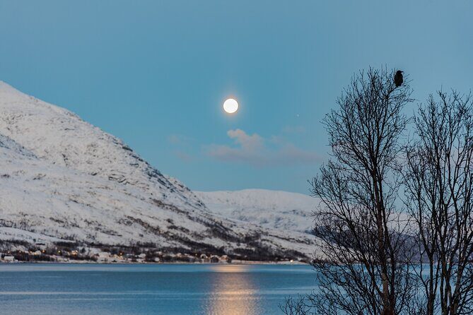 5 Fjords Tour by Minivan in 4 Hours - The minivan experience: comfortable pace, tight group, real time outside