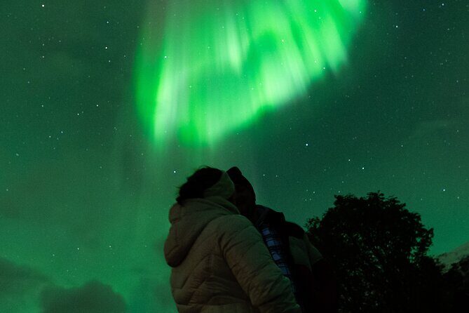 7 hours Tromsø Aurora Tour: Photos, snacks & warm drinks included - Why This 6–7 Hour Aurora Hunt Works in Tromsø