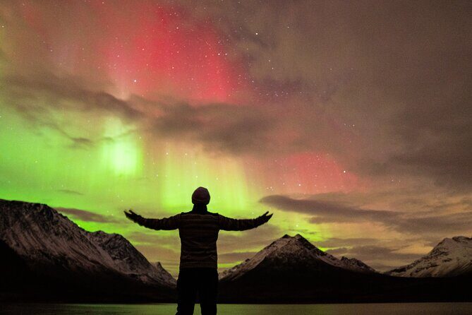 7 hours Tromsø Aurora Tour: Photos, snacks & warm drinks included - The Bus Search: How Guides and Photographers Improve Your Chances