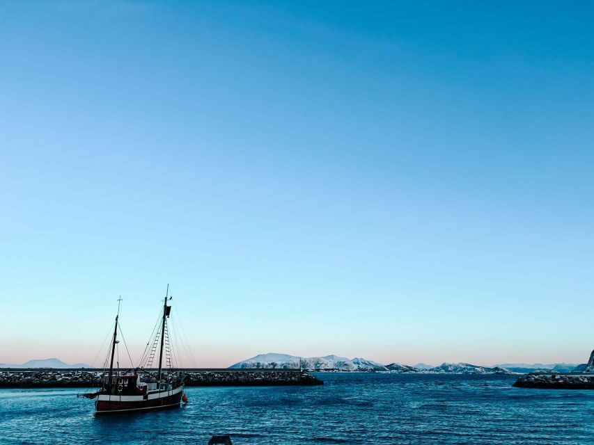 Ålesund: Ålesund and Surrounding Islands Audio Guide Tour - Key things to know before you go