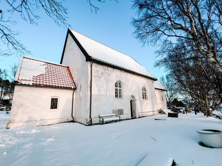 Ålesund: Ålesund and Surrounding Islands Audio Guide Tour - Who this tour suits best (and who should skip it)