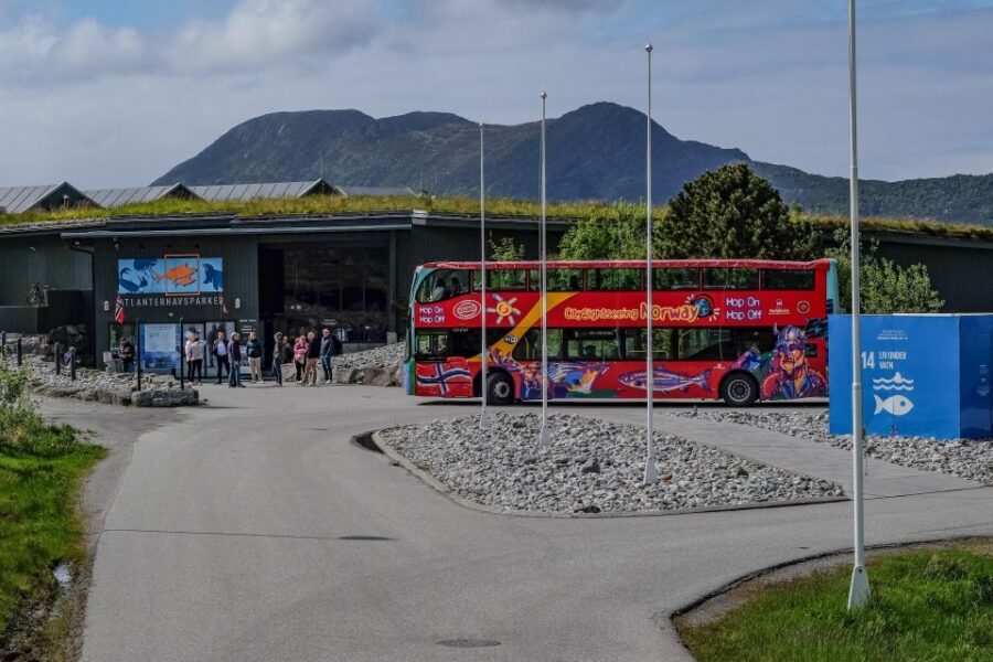 Alesund: City Sightseeing Hop-On Hop-Off Bus Tour - Timing for cruise ports: how to plan your hop-off time
