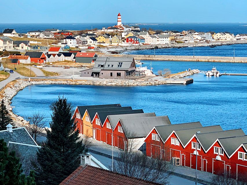Alesund: Private Tour to the Viking Islands - Starting at Ålesund Radhus: get oriented before you go island-hopping