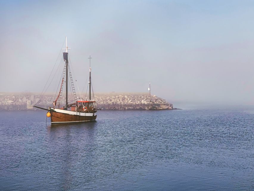 Alesund: Private Tour to the Viking Islands - Private transportation and a guide who adjusts to you