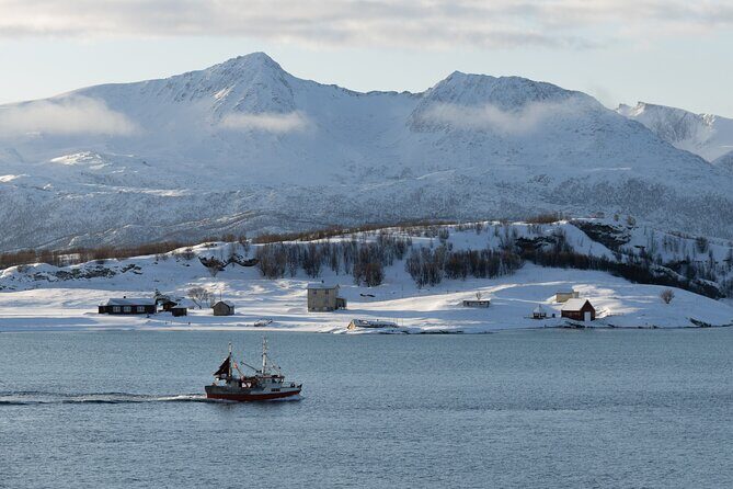 All-Inclusive Arctic Fjords and Sommarøy Scenic Tour - Key Highlights You’ll Feel in the Day