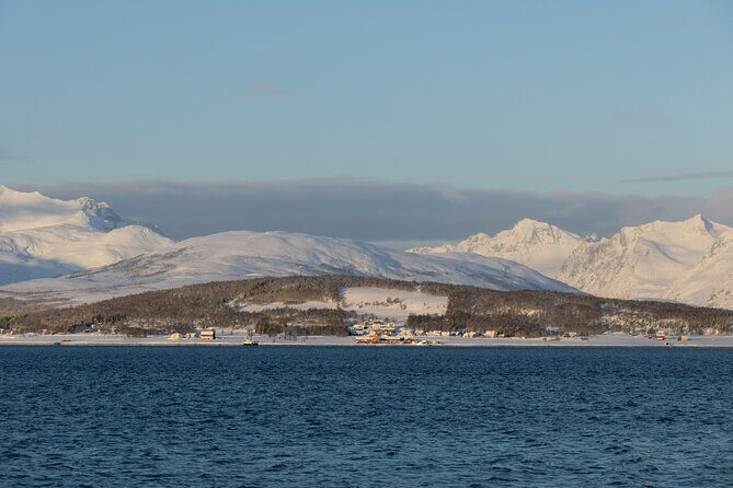 All-Inclusive Arctic Fjords and Sommarøy Scenic Tour - The Sommarøy Lunch Break You’ll Remember