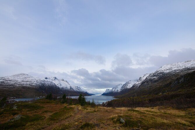 All-Inclusive Arctic Fjords and Sommarøy Scenic Tour - Kvaløya Photo Stops: Fjords, Mountains, and Arctic Wildlife Chances