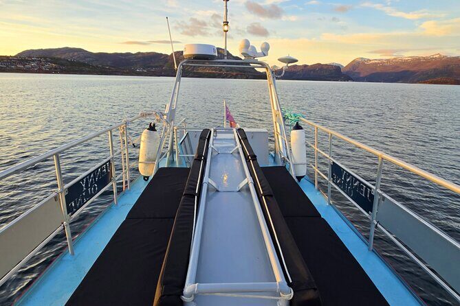 Alta: 2 Hours Guided Adventure Cruise in Alta Fjord - Who Should Book This Alta Fjord Cruise
