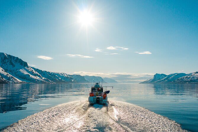 Alta: 2 Hours Guided Adventure Cruise in Alta Fjord - Wildlife Spotting That Isn’t Random Luck