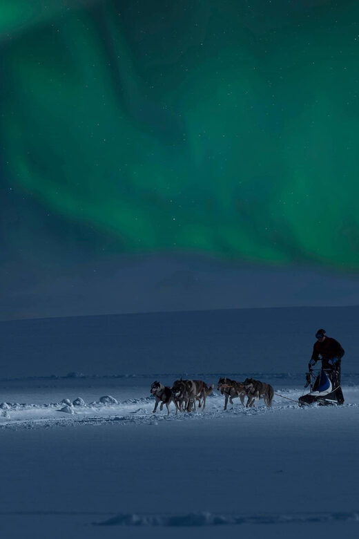Alta: Dog Sledding Trip under the Northern Lights - Taking turns at the reins: how control feels on husky teams