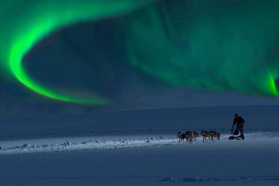 Alta: Dog Sledding Trip under the Northern Lights - Gear and comfort: how they keep you warm without smothering you
