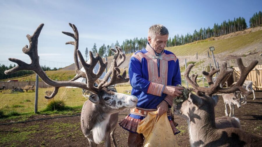 Alta: Reindeer - A carrier of Sámi Culture - Key Things to Know Before You Go