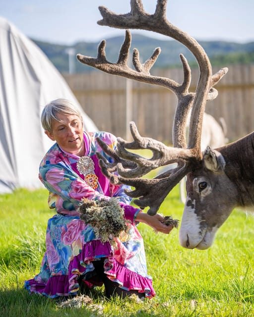 Alta: Reindeer - A carrier of Sámi Culture - Alta Reindeer + Sámi Culture: More Than a Photo Op