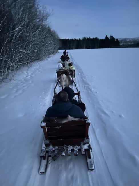Alta: Reindeer Ride - Alta Reindeer Ride: what you’re really signing up for