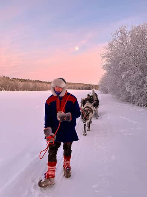 Alta: Reindeer Ride - Price and value: is $261 per person fair?